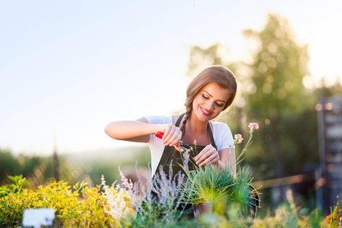 Professionals performing garden clearance in a Wanstead garden