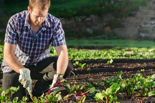 Our expert team tending to a garden