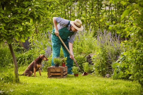 Tree lopping services in Wanstead