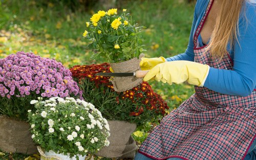 Optimal mowing practices for a healthy lawn