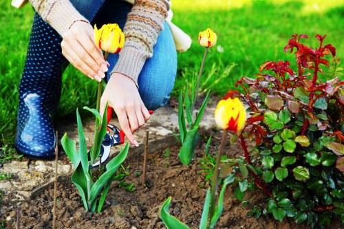 Selection of plants for Wanstead gardens