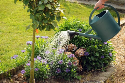 Seasonal lawn care tips for Wanstead homeowners