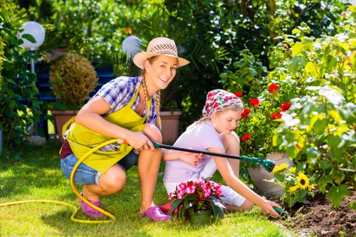 Seasonal lawn care in Wanstead