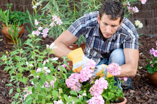 Garden clearance team removing debris from a residential garden