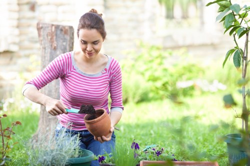 Professional lawn mowing service in Wanstead